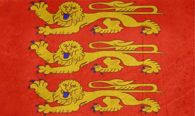 Grunge haute-normandie bayrağı