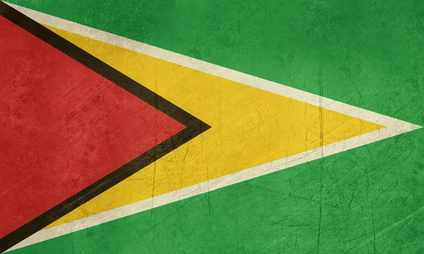 Grunge Guyana Flagge — Stockfoto