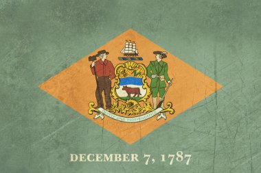 Grunge delaware eyalet bayrağı