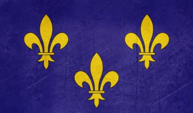 Grunge Ile de france bayrak