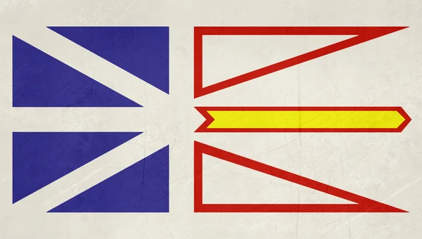 Гранж-Ньюфаундленд и флаг Лабрадора — стоковое фото