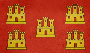 Grunge poitou-charentes bayrağı