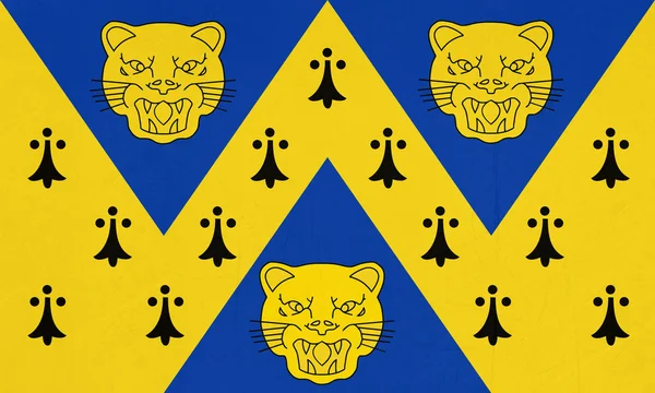 Флаг графства Шропшир — стоковое фото