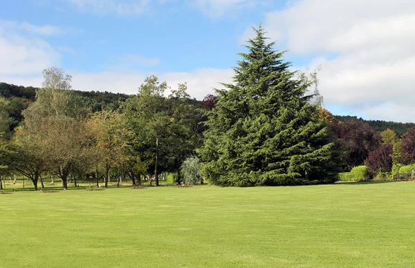 Park in countryside — Stock Photo, Image