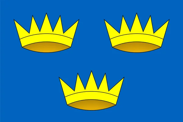 Vlag van de provincie van munster — Stockfoto