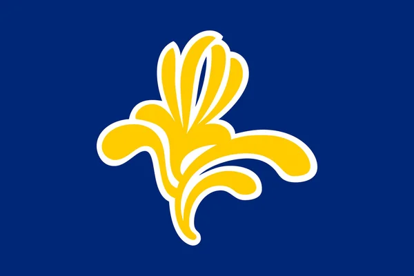 Brüksel şehir bayrağı — Stok fotoğraf
