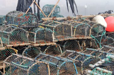 ıstakoz tencere Harbor