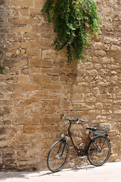 Bicycle leaning against old wall — Stock Photo, Image