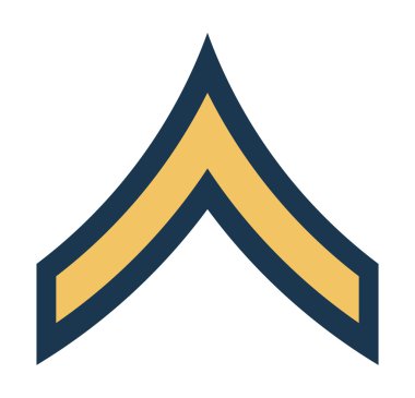 Amerikan özel amblem rütbe rozeti