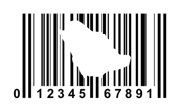 Saudi Arabia Bar code — Stock Photo, Image