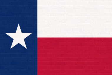 Texas devlet bayrağı tuğla duvar