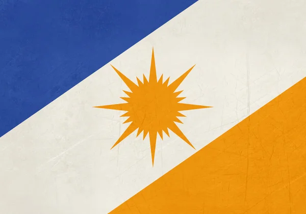 Bandeira do estado de Grunge de Tocantinas no Brasil — Fotografia de Stock