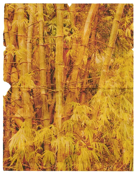 Gamla, trasiga pappersark med textur av bambu. isolerade — Stockfoto