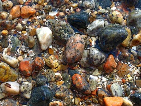 カラフルな海洋濡れている小石 — ストック写真