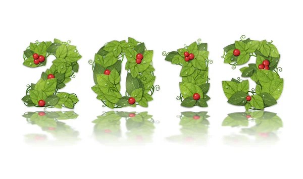 New year 2013. Date lined green leaves with red berry. — Stock Photo, Image