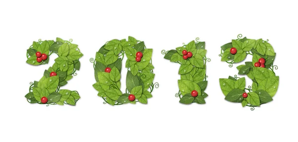 Nový rok 2013. Datum lemované zelené listy s červené bobule. samostatný — Stock fotografie