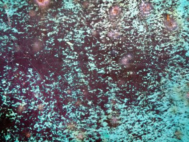 paslı metal fnd mavi boya dökülüyor