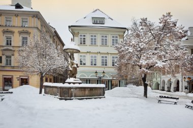 Kış Prag