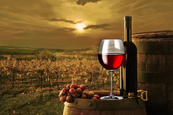 Natura morta con vino rosso — Foto Stock