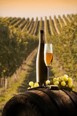 Beyaz şarapla sakin bir hayat