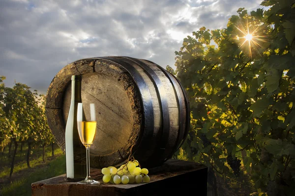 Natureza morta com vinho branco — Fotografia de Stock