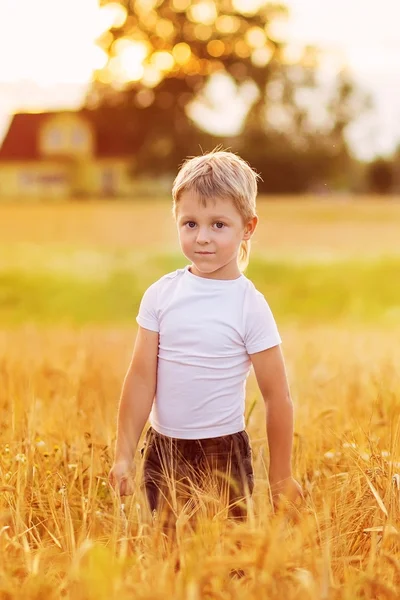 Young boy on the meadow in summer day. Art processing. — Stock Photo, Image