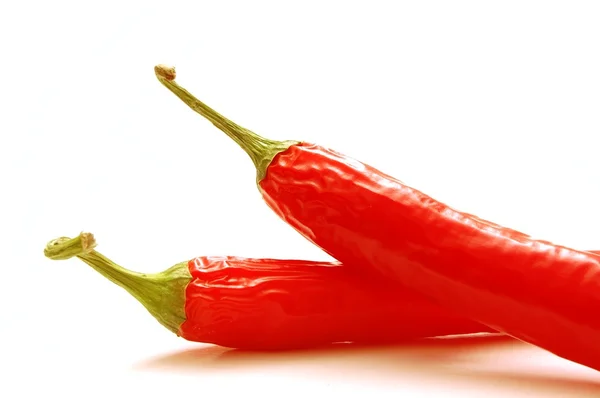 Chili vermelho isolado — Fotografia de Stock
