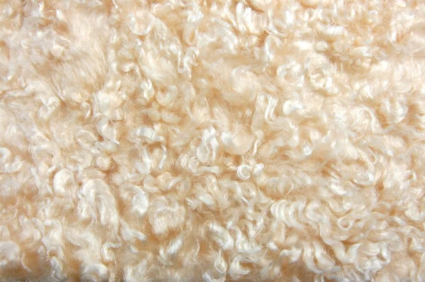 Pelt texture — Stock Photo, Image