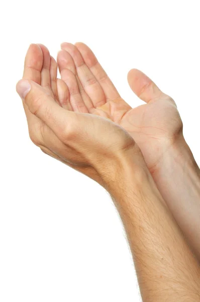 Praying hands — Stock Photo, Image