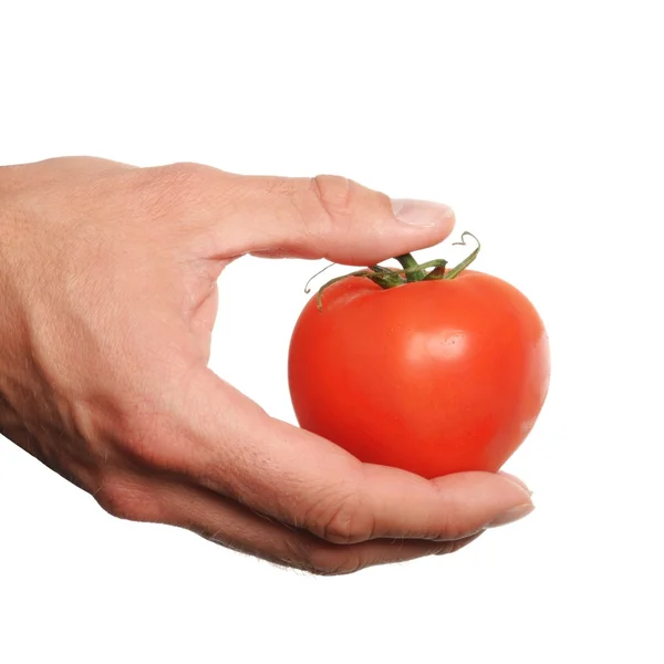 Hand holding tomato — Stock Photo, Image