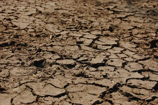 Dry soil — Stock Photo, Image