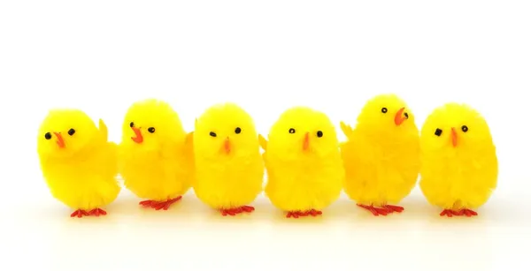 Easter chicken decorations — Stock Photo, Image
