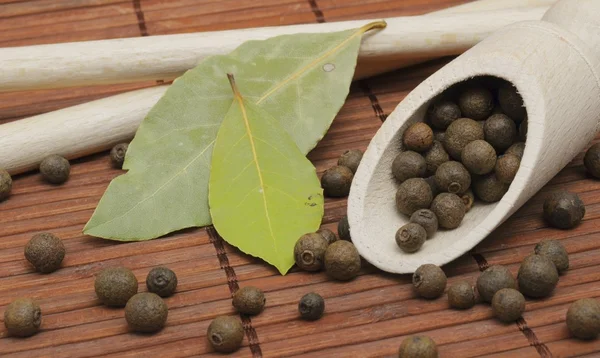 Especias aromáticas — Foto de Stock