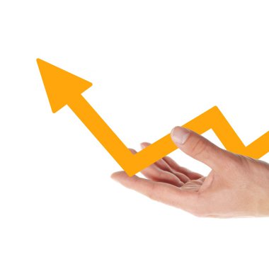 el koymadan grafiği