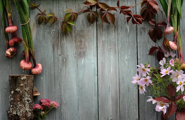 Autumn vintage background — Stock Photo, Image