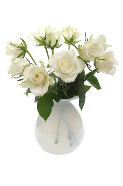 束白玫瑰 — 图库照片