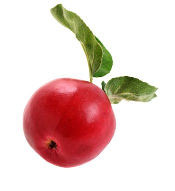 kırmızı elma