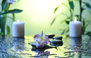 Spa natürmort