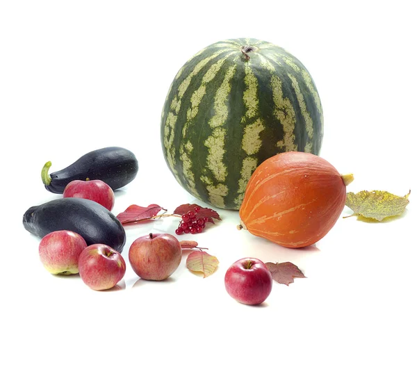 Herfst vruchten — Stockfoto