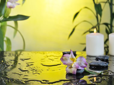 Spa natürmort