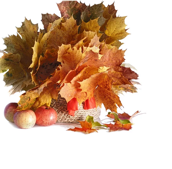 Herbststrauß — Stockfoto