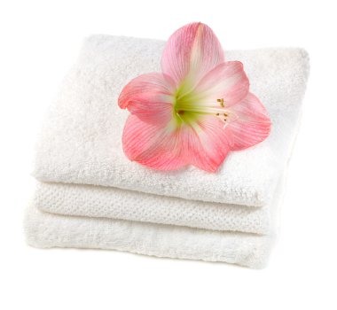 pembe çiçekli Spa