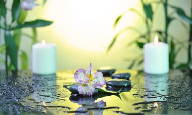 Spa natürmort