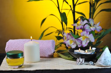 Spa natürmort bambu