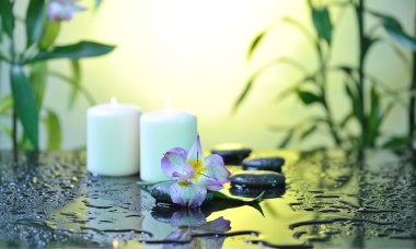 Spa natürmort