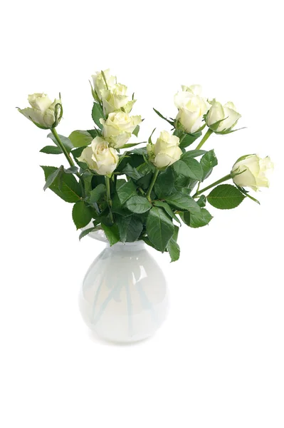 花瓶里的白玫瑰 — 图库照片