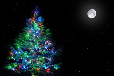 yıldızlı gökyüzü Noel ağacına