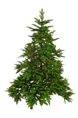 çıplak Noel ağacı