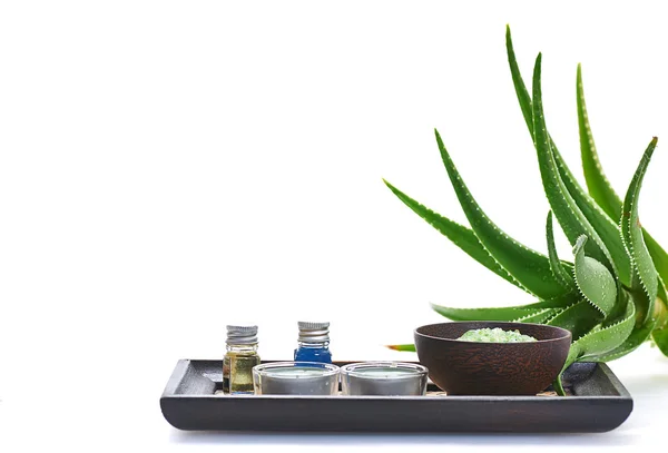 Aloe gyógyfürdő — Stock Fotó