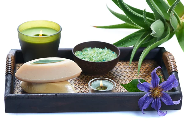 Aloe spa — Fotografia de Stock